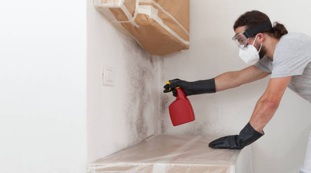 Professional Bathroom Mold Removal technician working in Woburn, MA