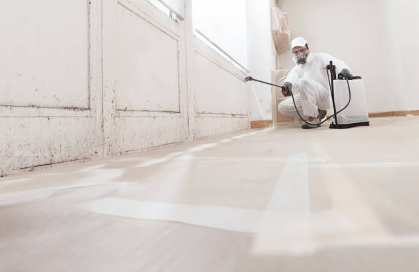 24/7 Emergency Bathroom Mold Removal experts in Woburn, MA