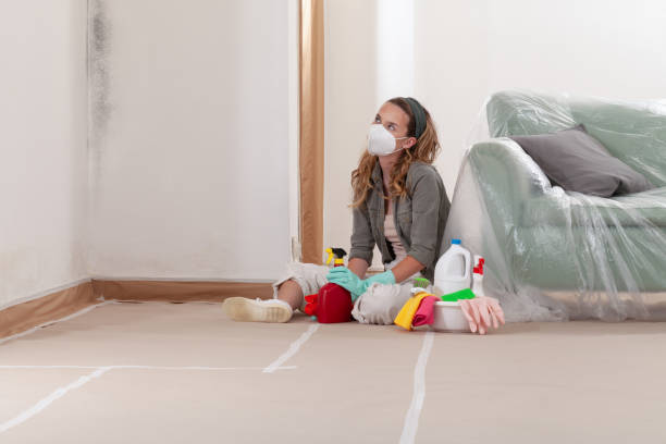 Reliable Bathroom Mold Removal contractor in Woburn, MA by 24 Hour Mold Removal